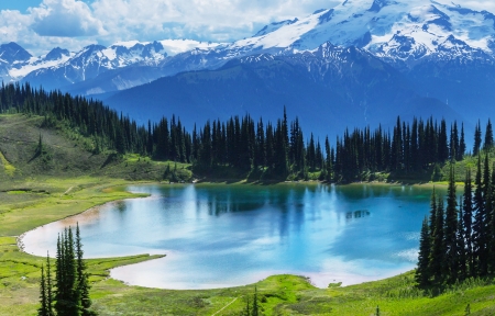 日常生活小技巧实用指南