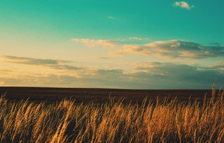 四季健康养生保健知识